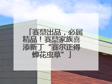 赛鼎出品，必属精品！赛鼎家族喜添新丁“赛尔正得蝉花虫草”