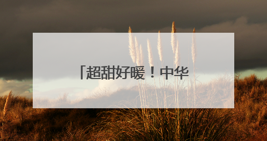 超甜好暖！中华巴洛克街区花卉墙画浪漫指数拉满