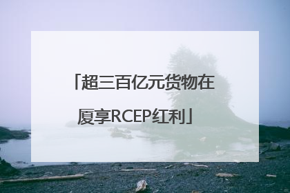 超三百亿元货物在厦享RCEP红利