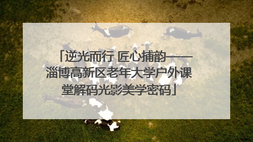 逆光而行 匠心捕韵——淄博高新区老年大学户外课堂解码光影美学密码