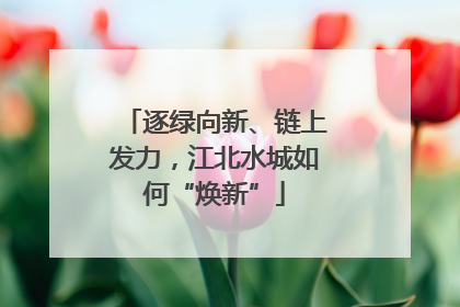 逐绿向新、链上发力，江北水城如何“焕新”