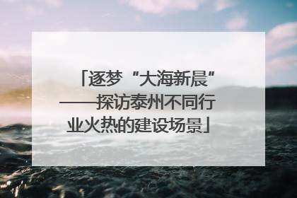 逐梦“大海新晨”——探访泰州不同行业火热的建设场景