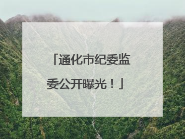 通化市纪委监委公开曝光！