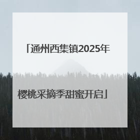通州西集镇2025年樱桃采摘季甜蜜开启