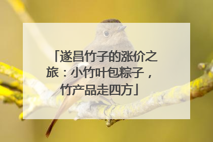 遂昌竹子的涨价之旅：小竹叶包粽子，竹产品走四方