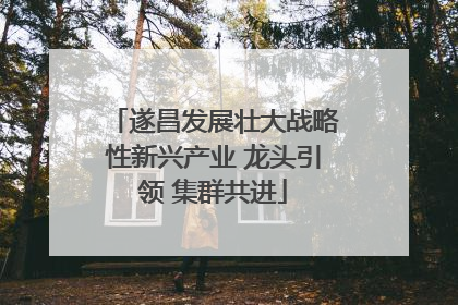 遂昌发展壮大战略性新兴产业 龙头引领 集群共进