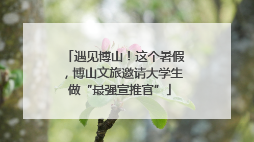 遇见博山！这个暑假，博山文旅邀请大学生做“最强宣推官”