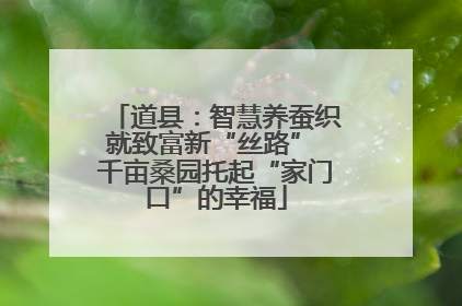 道县：智慧养蚕织就致富新“丝路” 千亩桑园托起“家门口”的幸福