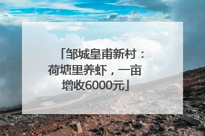 邹城皇甫新村：荷塘里养虾，一亩增收6000元