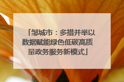 邹城市：多措并举以数据赋能绿色低碳高质量政务服务新模式
