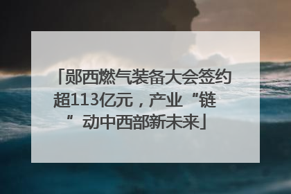 郧西燃气装备大会签约超113亿元，产业“链”动中西部新未来
