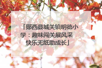 郧西县城关镇明德小学：趣味闯关展风采 快乐无纸助成长