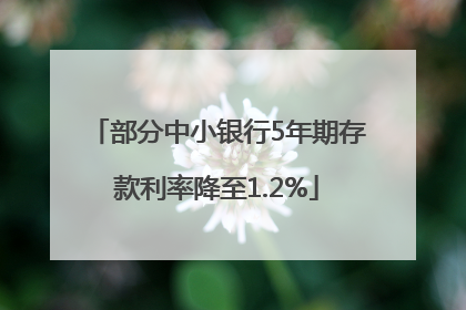 部分中小银行5年期存款利率降至1.2%
