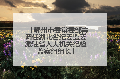 鄂州市委常委邹霞调任湖北省纪委监委派驻省人大机关纪检监察组组长