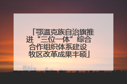 鄂温克族自治旗推进“三位一体”综合合作组织体系建设 牧区改革成果丰硕