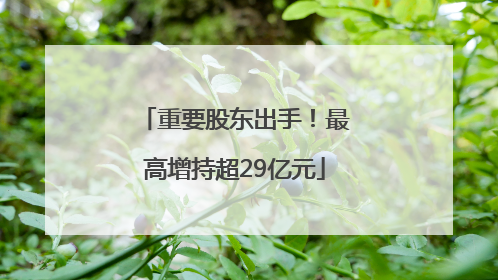 重要股东出手！最高增持超29亿元