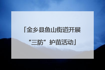 金乡县鱼山街道开展“三防”护苗活动