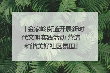 金家岭街道开展新时代文明实践活动 营造和谐美好社区氛围
