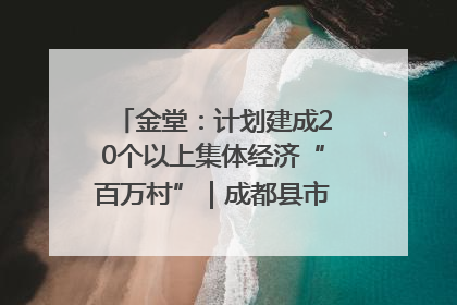 金堂：计划建成20个以上集体经济“百万村”｜成都县市新城高质量发展