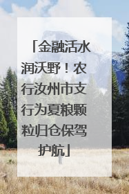 金融活水润沃野！农行汝州市支行为夏粮颗粒归仓保驾护航