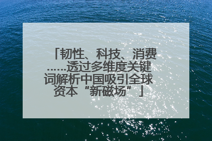 韧性、科技、消费……透过多维度关键词解析中国吸引全球资本“新磁场”