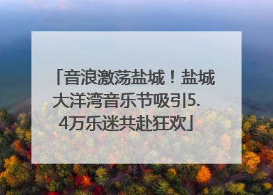 音浪激荡盐城！盐城大洋湾音乐节吸引5.4万乐迷共赴狂欢