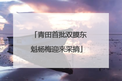 青田首批双膜东魁杨梅迎来采摘