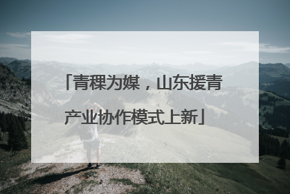 青稞为媒，山东援青产业协作模式上新