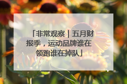 非常观察｜五月财报季，运动品牌谁在领跑谁在掉队