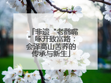 非遗“老鹳嘴”啄开致富路：会泽高山苦荞的传承与新生