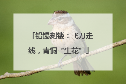 铅锡刻镂：飞刀走线，青铜“生花”
