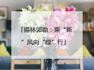 锡林郭勒：乘“新”风向“绿”行