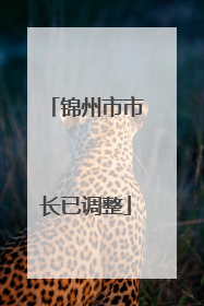 锦州市市长已调整