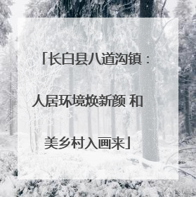 长白县八道沟镇：人居环境焕新颜 和美乡村入画来