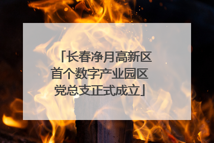 长春净月高新区首个数字产业园区党总支正式成立