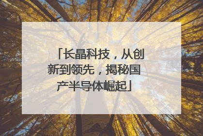 长晶科技，从创新到领先，揭秘国产半导体崛起