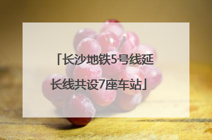 长沙地铁5号线延长线共设7座车站