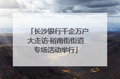 长沙银行千企万户大走访·裕南街街道专场活动举行