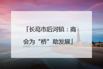 长葛市后河镇：商会为“桥”助发展