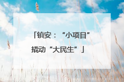 镇安：“小项目”撬动“大民生”