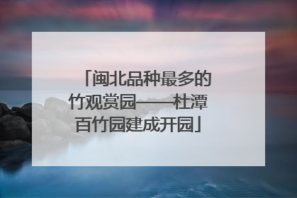 闽北品种最多的竹观赏园——杜潭百竹园建成开园