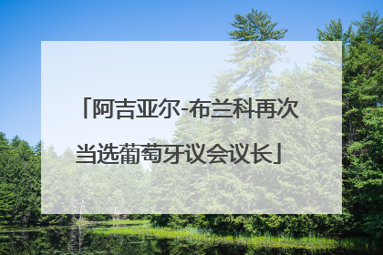 阿吉亚尔-布兰科再次当选葡萄牙议会议长