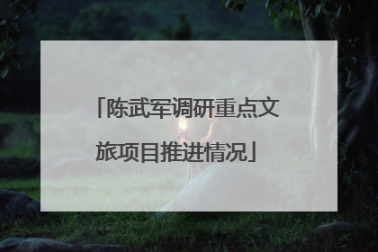 陈武军调研重点文旅项目推进情况