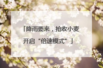降雨要来，抢收小麦开启“倍速模式”