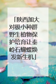 陕西加大对极小种群野生植物保护培育让秦岭石蝴蝶焕发新生机