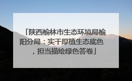 陕西榆林市生态环境局榆阳分局：实干厚植生态底色，担当描绘绿色答卷