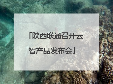陕西联通召开云智产品发布会
