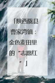 陕西陇县曹家湾镇：金色麦田里的“志愿红”