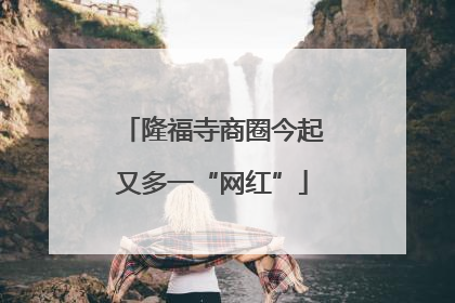 隆福寺商圈今起又多一“网红”