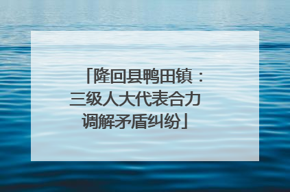 隆回县鸭田镇：三级人大代表合力调解矛盾纠纷